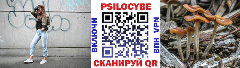 Галлюциногенные грибы MAGIC MUSHROOMS hydra Южно-Сахалинск где купить наркоту